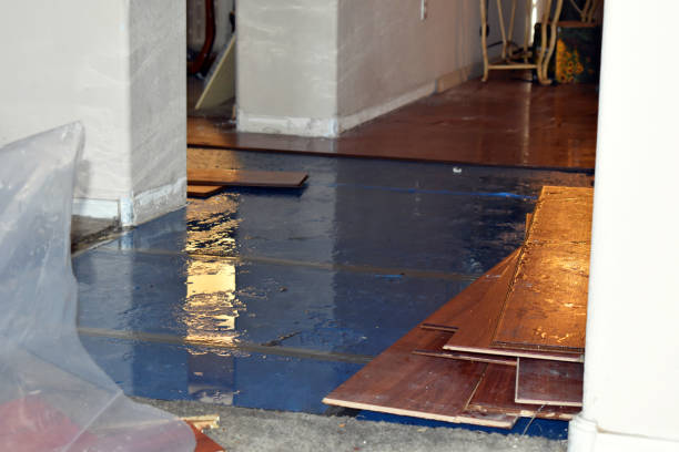 Professional Water Damage Restoration technician working in Le Roy, IL